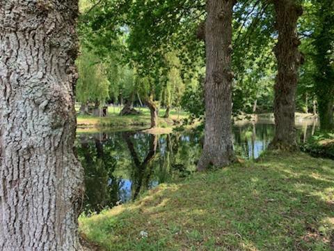 La Demeure Romantique Bazouges-sous-Hede Kültér fotó