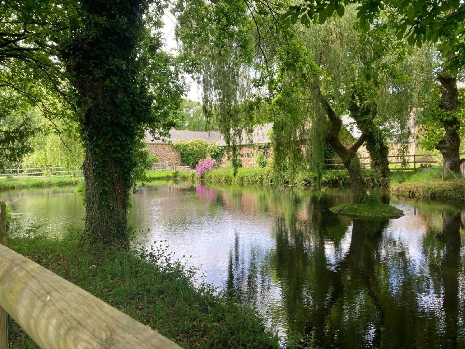 La Demeure Romantique Bazouges-sous-Hede Kültér fotó