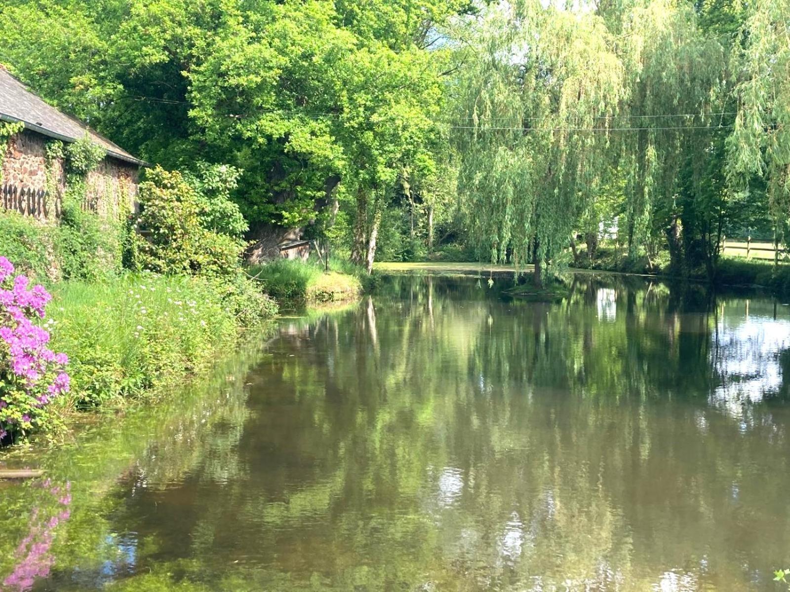 La Demeure Romantique Bazouges-sous-Hede Kültér fotó